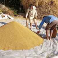 साढे दुई लाख नाघ्यो सुनको मूल्य