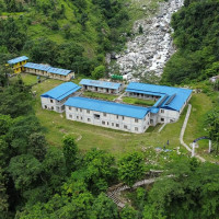 किन ८१ प्रतिशत नर्स अनुत्तीर्ण भए ?