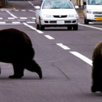 गृहमन्त्री अर्यालसँग अस्ट्रेलियाकी राजदूत जोन्स्टनको बिदाइ भेट