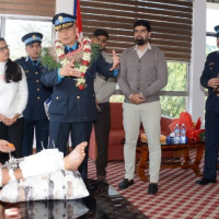 हवाईजहाजबाट देखिएको हिमशृङ्खला