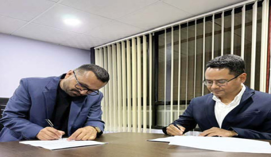 पाखो बारीमै झुल्यो धान