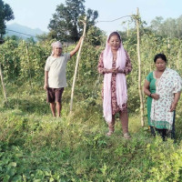 आर्थिक वृद्धिमा बागमती अगाडि