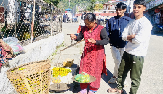 डोकोमा सुन्तला बेचेर घर खर्चको जोहो