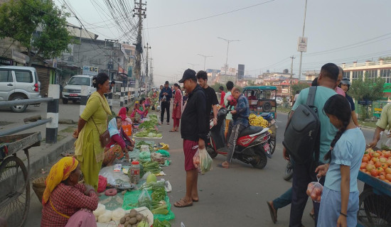 थारू महिलाको पौरख : नेपालगञ्जलाई अर्ग्यानिक स्वाद
