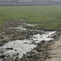 आज विश्व मधुमेह दिवस मनाइँदै