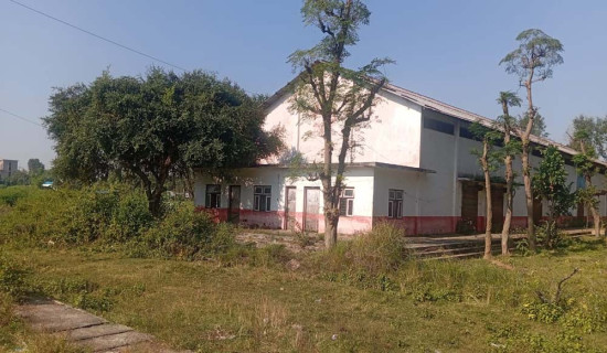 आज विश्व मधुमेह दिवस मनाइँदै