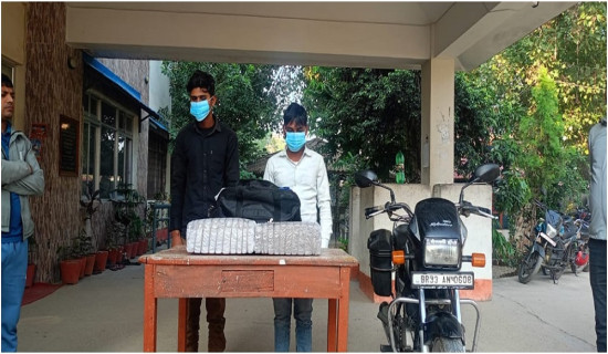 औरहीबाट १० केजी गाँजासहित दुई युवक पक्राउ