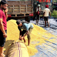 कपास विकास समितिको जग्गा अतिक्रमण