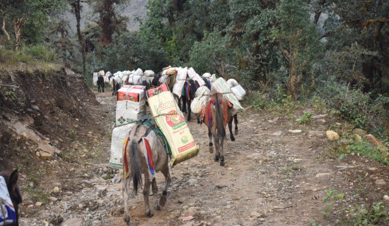 ‘जुन उद्देश्यले लड्नुभयो, त्यो पूरा गर्ने छु’