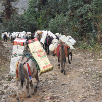 यस्तो छ आजका लागि विदेशी मुद्राको विनिमयदर