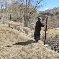 सूचना प्रविधि पुग्न सक्छ एक खर्बको निर्यात