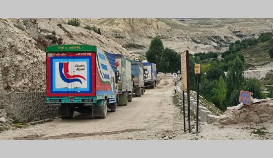 वीरगञ्ज भन्सारमा छ वर्षदेखि १८५ मालवाहक कन्टेनर अलपत्र