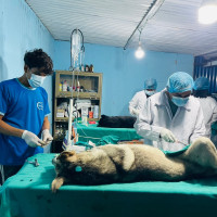 यथार्थपरक र संयमित बजेट