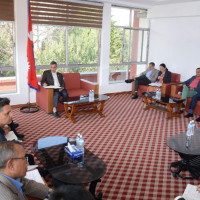 सर्पको डसाइले महिलाको मृत्यु