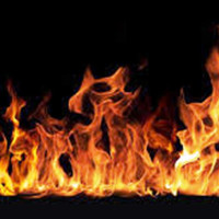 वीरगञ्ज भन्सारमा छ वर्षदेखि १८५ मालवाहक कन्टेनर अलपत्र