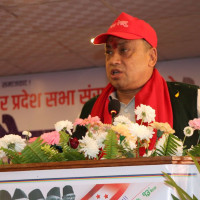 संविधान संशोधन बहस : नौ सांसदका विचार