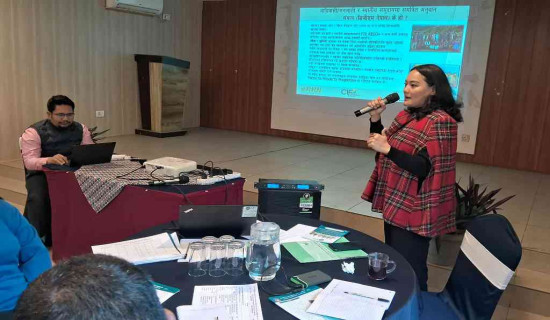 पुनर्स्थापनाको आसमा मुक्त हलिया