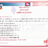 कांग्रेसका युवा भेला : विशेष महाधिवेशनको माग