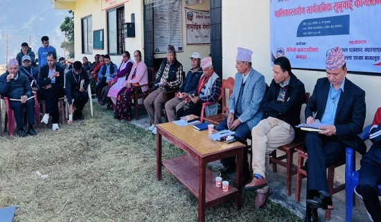 जैमिनीबासीको गुनासो : बाँदर आतङ्क रोकिएन, समयमै मल पाएनौं