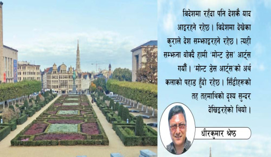 विदेशमा देश सम्झना