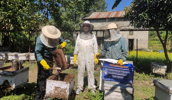 माहुरीपालनबाट मासिक एक लाख आम्दानी