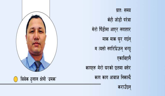 मौनताको एकालाप (कविता)