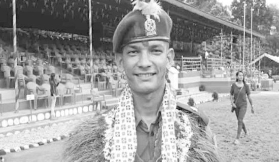 पाथीभरा क्षेत्रको वनमा लौठ सल्ला रोपियो