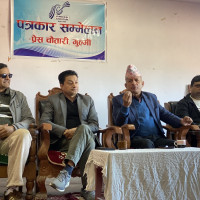 स्वार्थको द्वन्द्वसम्बन्धी कानुन तत्काल निर्माण गर्न माग