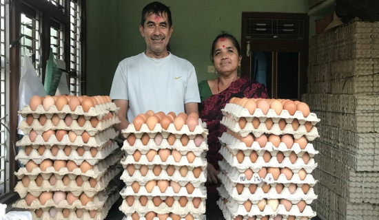 विदेशभन्दा दोब्बर कमाइ गाउँमै