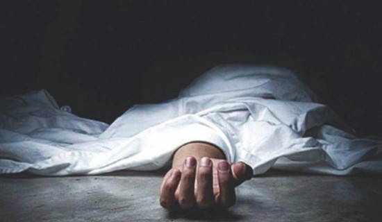 कोलम्बियाली सैनिकको कारबाहीमा नौ लडाकू मारिए