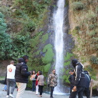 कोलम्बियाली सैनिकको कारबाहीमा नौ लडाकू मारिए