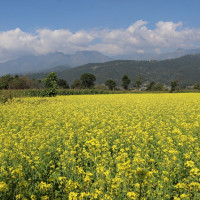 मतदान स्थल तथा मतदान केन्द्र थप गर्न सिफारिस