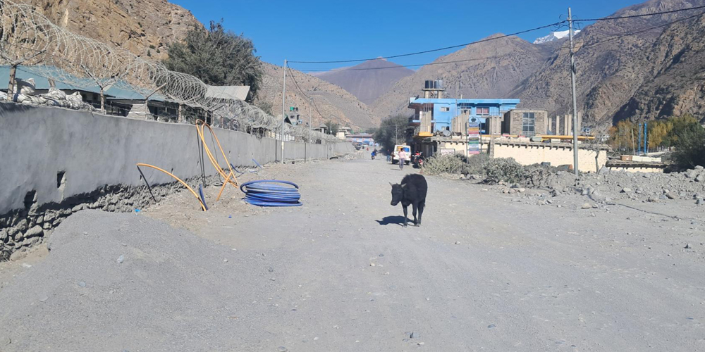 निर्माणाधीन जोमसोम सडक आठ वर्षदेखि अलपत्र