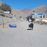 तस्बिरमा उहिलेको पोखरा