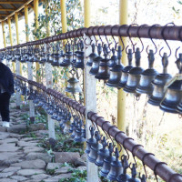 तोरी फुलेको फाँट  (फोटो फिचर)