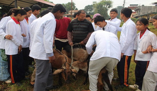 जाँचपास सहज बनाउन बोर्डलाई मन्त्रालयको निर्देशन