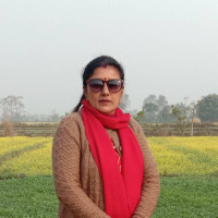 करोडौँ खर्च हुँदा पनि छाडा पशुको दिगो व्यवस्थापन भएन