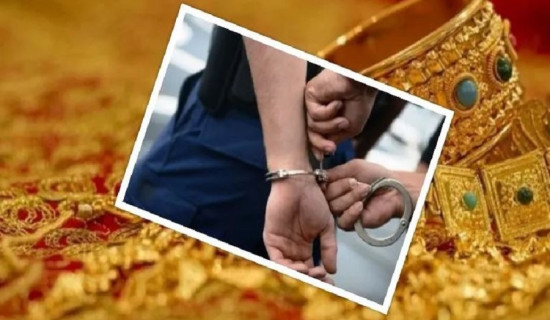 फ्रान्समा एक करोड २० लाख डलर बराबरको गहना चोरी