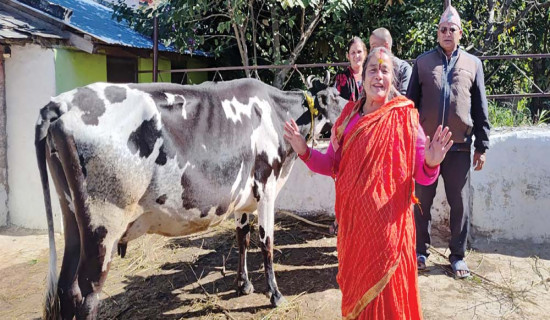 अब सुन्नुपर्ने छैन थोपरिएका सिआरबिटी
