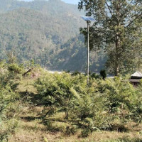 सङ्कटा मन्दिरमा भक्तजनको भिड