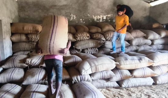 ठमेलमा मिथिला कला प्रदर्शनी