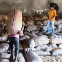 परीक्षा दिन आउने परीक्षार्थीलाई बस्ने समस्या