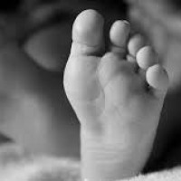 हालसम्मकै उच्च बिमा दाबी