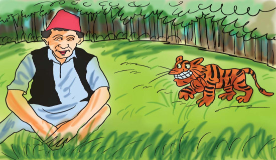 हालसम्मकै उच्च बिमा दाबी