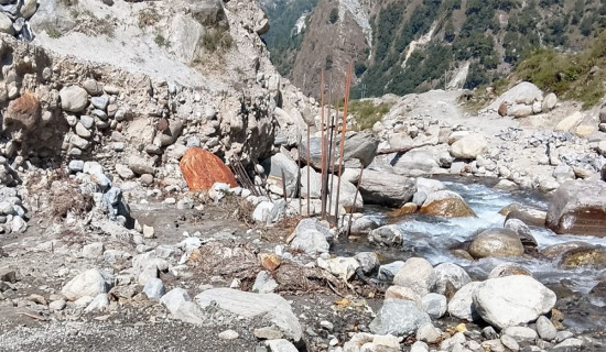 पाँच वर्षमा पुल निर्माणको काम पन्ध्र प्रतिशत