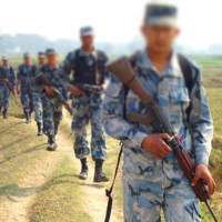 चार महिनामा सवारी दुर्घटनाका कारण १७ को मृत्यु