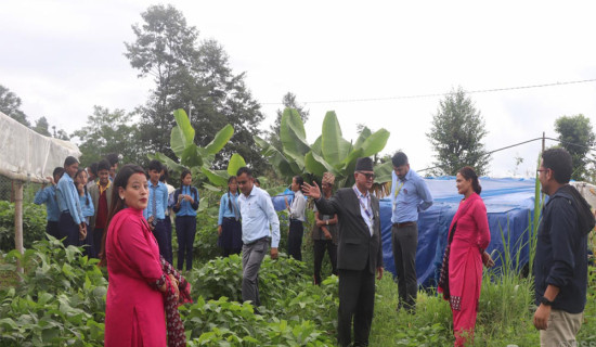 पढ्दै-कमाउँदै कार्यक्रम हटेसँगै सामुदायिक विद्यालय समस्यामा