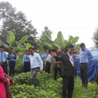 पूर्वाधारसहित चार कार्यालयको ३५ करोड भन्दा बढी बजेट काटियो