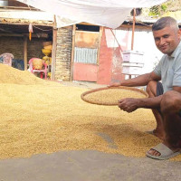 दक्षिण एसियामा लोकतन्त्र