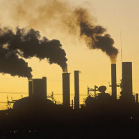 माछालाई लगाएको करेन्ट आफैँलाई लागेपछि